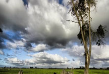 曼城继续领跑，提前锁定英超冠军？