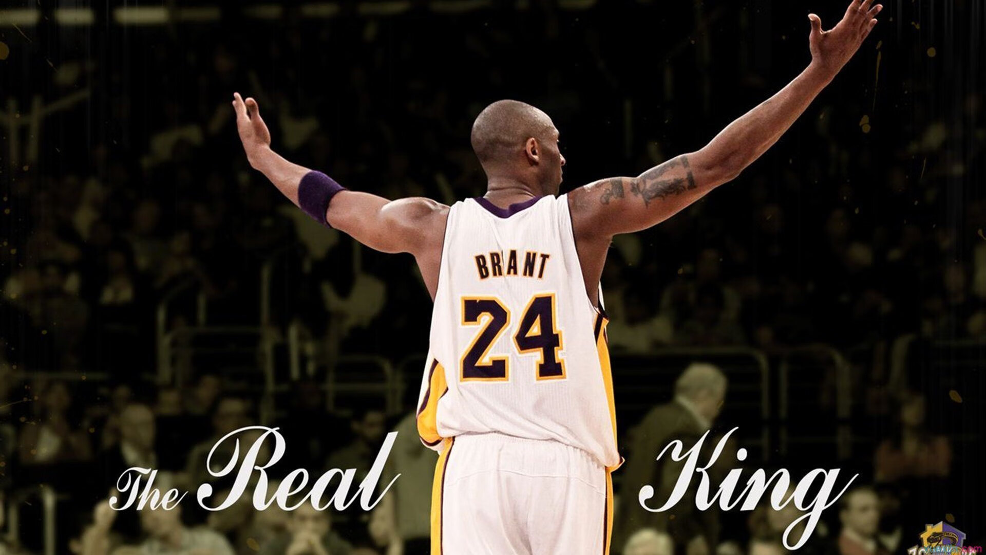 巴特勒夺冠的含金量